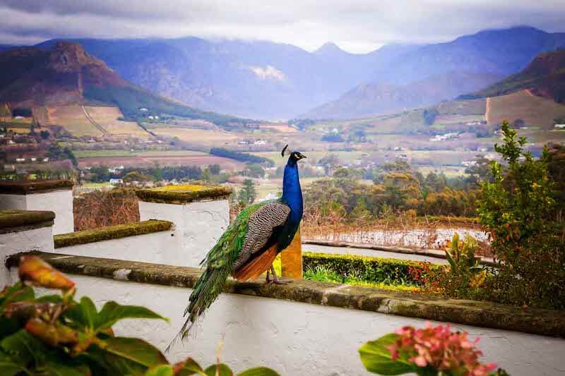 La Petite Ferme, South Africa - Full-Time Travel